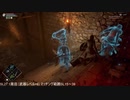 デモンズソウル 1周目 SL27 坑道1で青ファンにゃ！