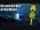 【感動】ついに親友と再会！また一緒に冒険できる！？【Ori and the Will of the Wisps】#10