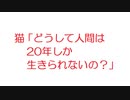 【2ch】猫「どうして人間は20年しか生きられないの？」
