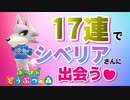 【あつ森】住民厳選！離島ガチャ17連でまさかのシベリアさんに出会う♪ 【Animal Crossing】