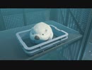 ぢるストランディング20