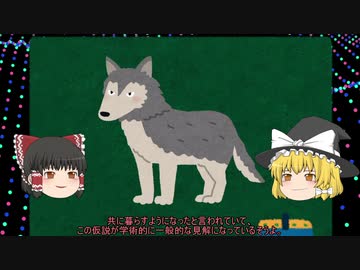 いつから犬は ペット になったの 日本書紀 への登場から 江戸時代のブーム まで 犬と日本人の関係性の歴史を解説してみた ライブドアニュース