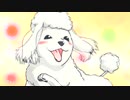 犬と猫どっちも飼ってると毎日たのしい