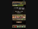 【パズドラ】エイル降臨壊滅級 ソロ周回編成