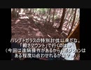 （遊撃見廻り回）変態忍者の、有害鳥獣駆除従事活動記・その１３２