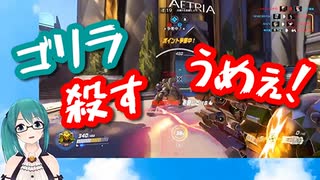 ゴリラと縄張り争いをする神楽すず