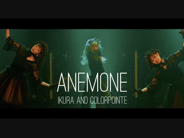 【いとくとら】ANEMONE 踊ってみた【カラーポワント】