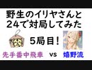 将棋生主とらとイリヤの５局目の将棋対決【とら視点】