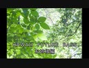 【KAWAII FUTURE BASS】お姉様編