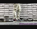 【STEP-0002】カラフル(tamame's apostate remix)【踊ってみた】