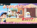 【あつ森】前人未島へようこそ！#169【あつまれどうぶつの森】