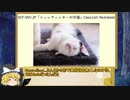 きりまりのSCP談話その1