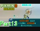 【実況】この文だけで面白いヤベーやつ【ピクミン3デラックス】Part13