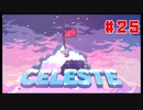 なぜ山に登るのか #25【Celeste】