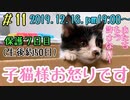 【子猫】遊びの制限にご立腹です…風邪は継続中なのに…元気です