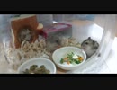 ハムスター飼いました。その106～ハムスター2匹飼いました。～