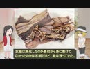 【ゆっくり解説】アメリカ先史時代のミイラを紹介【Spirit Cave Mummy】(前半)
