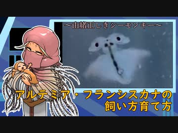 アルテミア・フランシスカナの飼い方、育て方