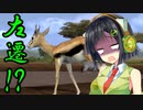 【AFRIKA】セイカの社畜業務日誌【VOICEROID実況】