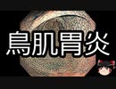 【ゆっくり朗読】ゆっくりさんと不思議な病気 その261