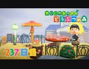 【実況】まいにち あつまれ どうぶつの森237日目