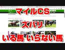 【競馬に人生】マイルチャンピオンシップ 2020 ズバリ いる馬 いらない馬【 サリオス グランアレグリア インディチャンプ アドマイヤマーズ レシステンシア ヴァンドギャルド ラウダシオン】
