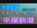 水中動画（2020年11月12日）in 平塚新港