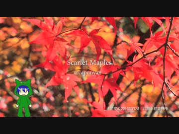 お題「紅葉狩りをイメージした曲」曲名「Scarlet Maples」・深夜の2時間DTM