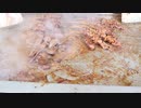 【大正ホルモンちから】西成やまきと兄弟弟子のお店