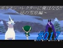 ポケモンコレクターに俺はなる‼～冠の雪原編～#017