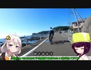 【ロードバイク】あかり・きりたんの自転車旅行EX　伊豆GR(秋)編