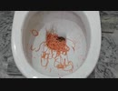 スパゲッティとミートボールをトイレに流してみた