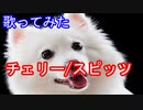 【歌ってみた】チェリー/スピッツ