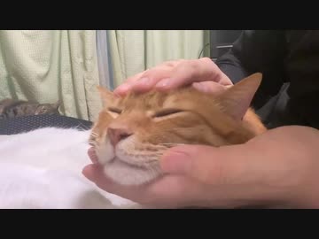 (´ ௰ `)( ◜௰◝)