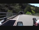 京都府　佐々里峠～黒田の百年桜