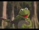 Kermit The Frog The Rainbow Connection