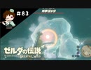 【実況】マスターモードでやりこみサバイバル生活！！　Part83 【ゼルダの伝説　BotW】