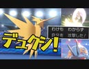 「デュクシ！」と言って混乱の自傷ダメージを与える