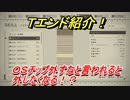 ニーアオートマタ　Ｔエンド紹介！ＯＳチップ外すなと言われると外したくなる！？　【NieR:Automata Game of the YoRHa Edition】