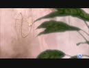 【DOAXVV】 ゆっくりDOAXVV生活 第0回 【ゆっくり実況】