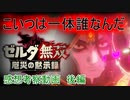 『ゼルダ無双 厄災の黙示録』の感想と考察を述べた動画　5 後編