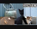 子猫を守るため黒猫を威嚇する母猫「父親は逃げる」