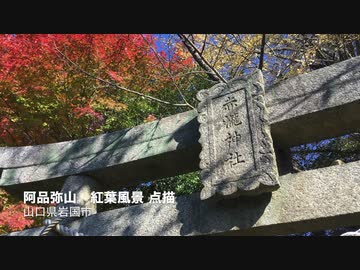 阿品弥山　赤滝神社石鳥居前 紅葉ノ風景点描