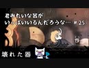 【実況Hollow Knight】この虫の世界、生きるだけが目的なのだろうか #25 エリアボス＆探索編【ホロウナイト】