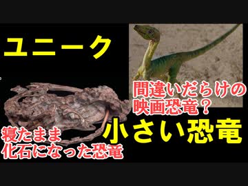 ゆっくりがもっと恐竜を解説すんよ～　第十回：小さい恐竜