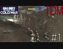 [TDM]ラン＆ガン＆ダイがモットーのCoD[CoD:BOCW] #1