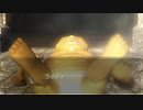 【トワプリ】ＨＤな尻に敷かれて厄動するケモノ【字幕プレイ動画その５９】