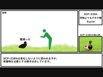 ゆっくり紹介】SCP-2384【何物よりもデカき鴨】 - ニコニコ動画