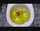 水風船とスポンジボブとピカチュウをトイレに流してみた