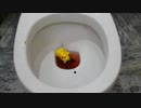 M&M'sとピカチュウをトイレに流してみた